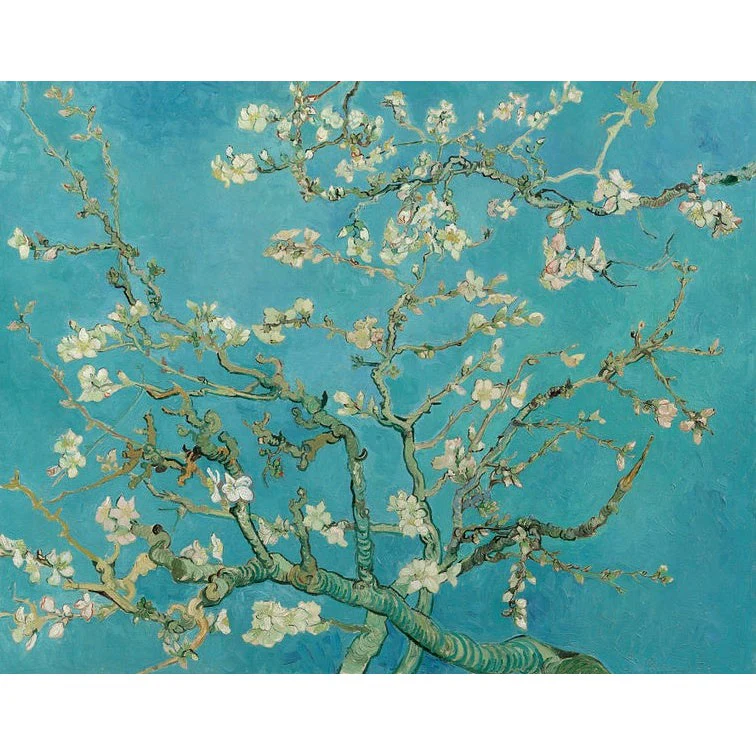 Miniatuur 1