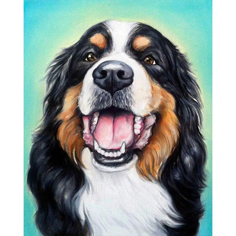 Berner Sennenhond Blauw