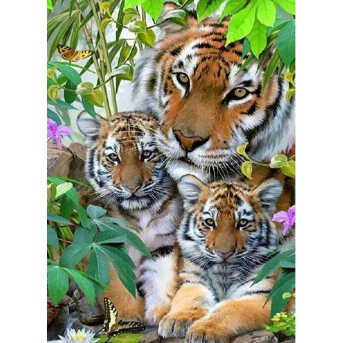De Tijger Familie