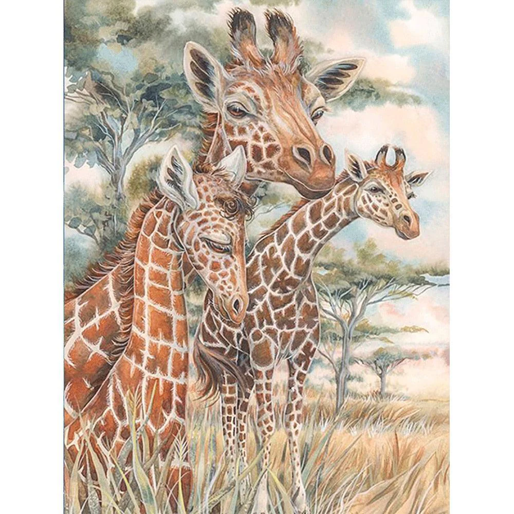 Giraffes