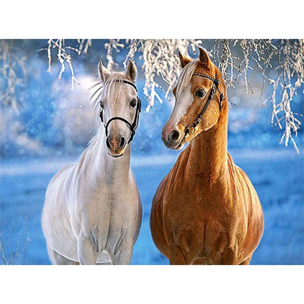 Het Witte En Bruine Paard Winter