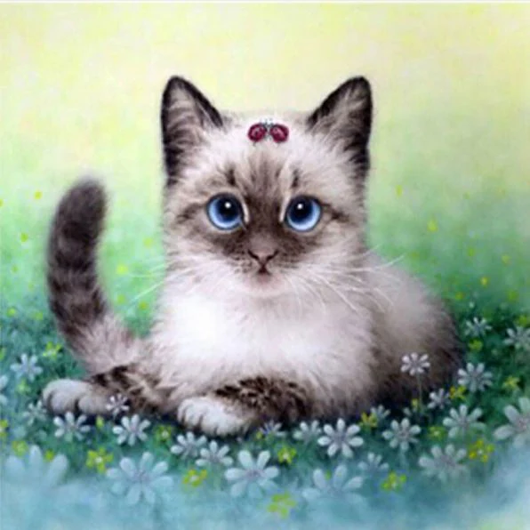 Kitten Lieveheersbeestje