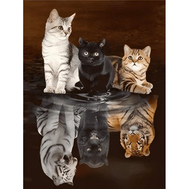 Kitten - Tijgers