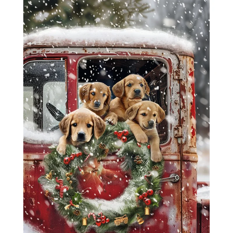 Labradors in de rode vrachtwagen