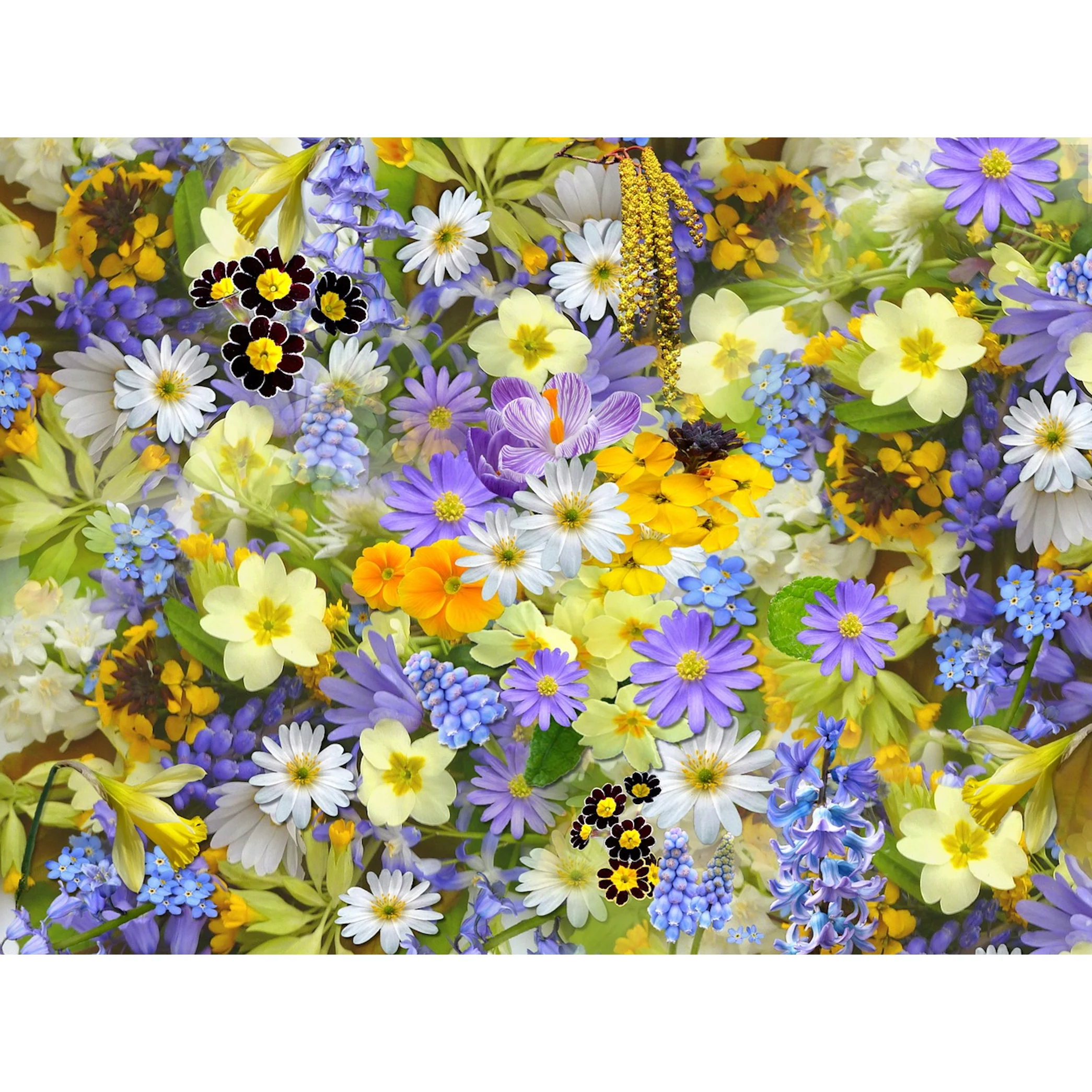 Miniatuur 1
