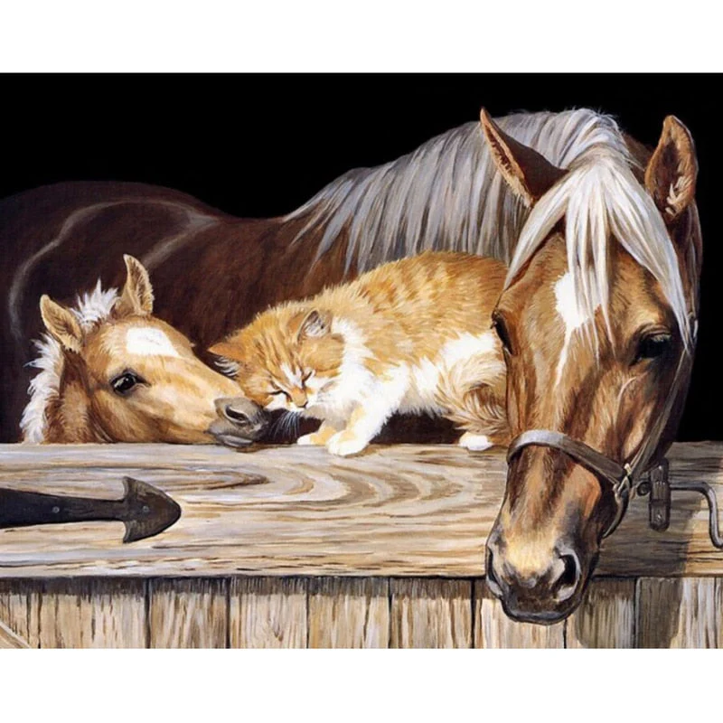 Paarden