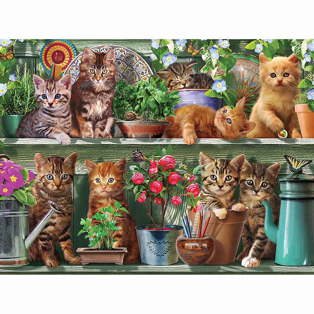 Katten In Tuinkast