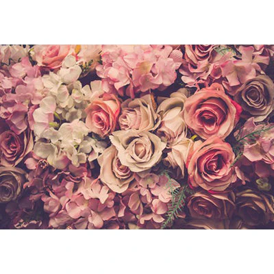 Rozen