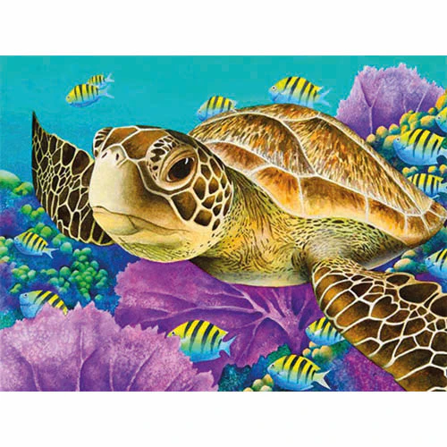 Schildpad