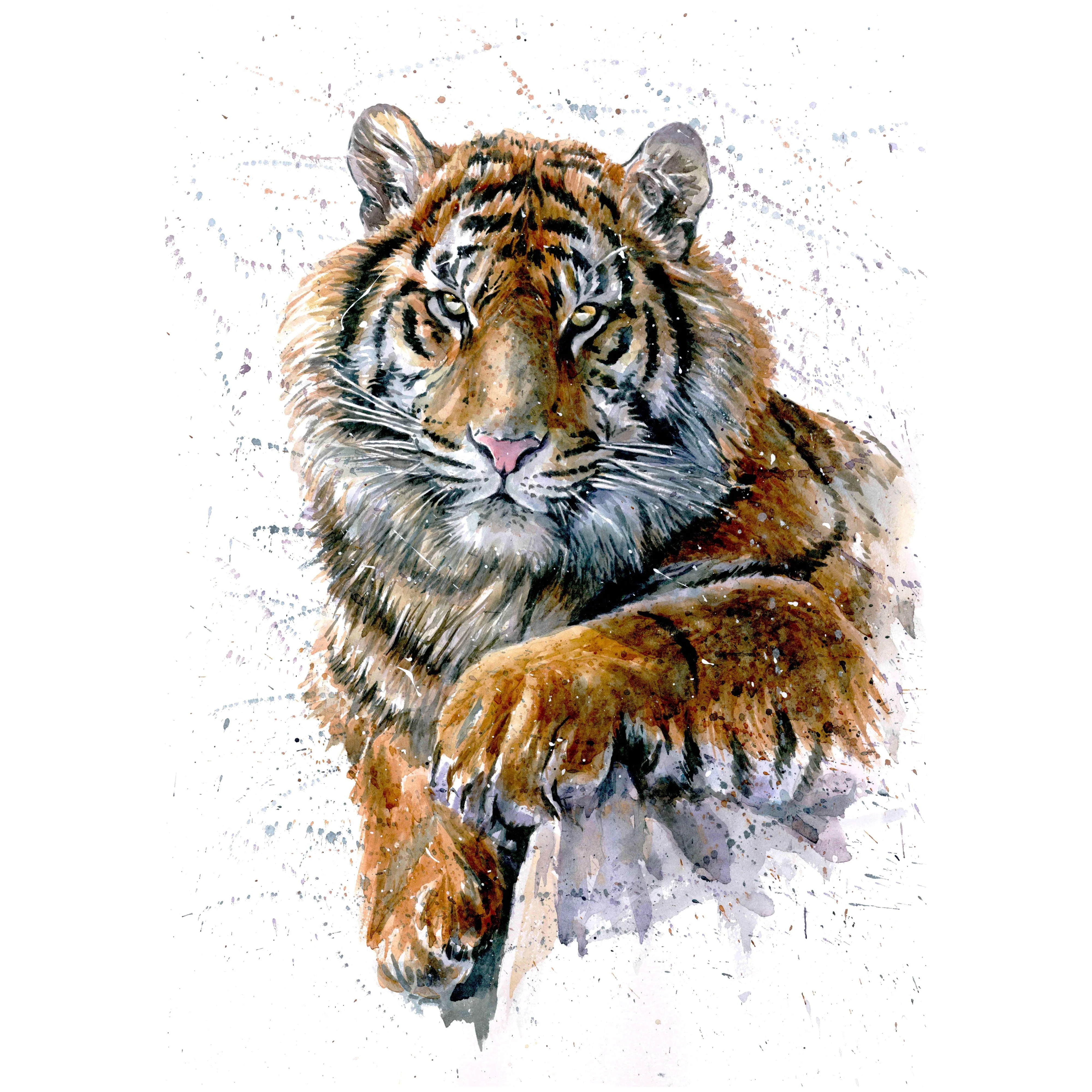Tijger Waterverf