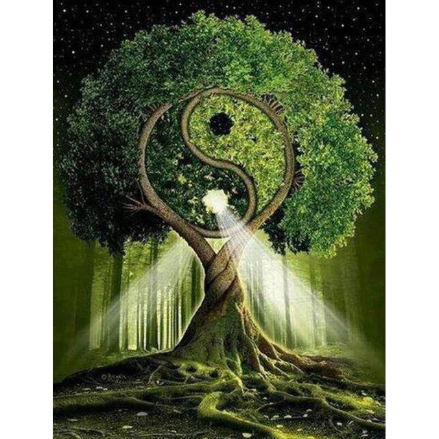 Yin Yang Boom