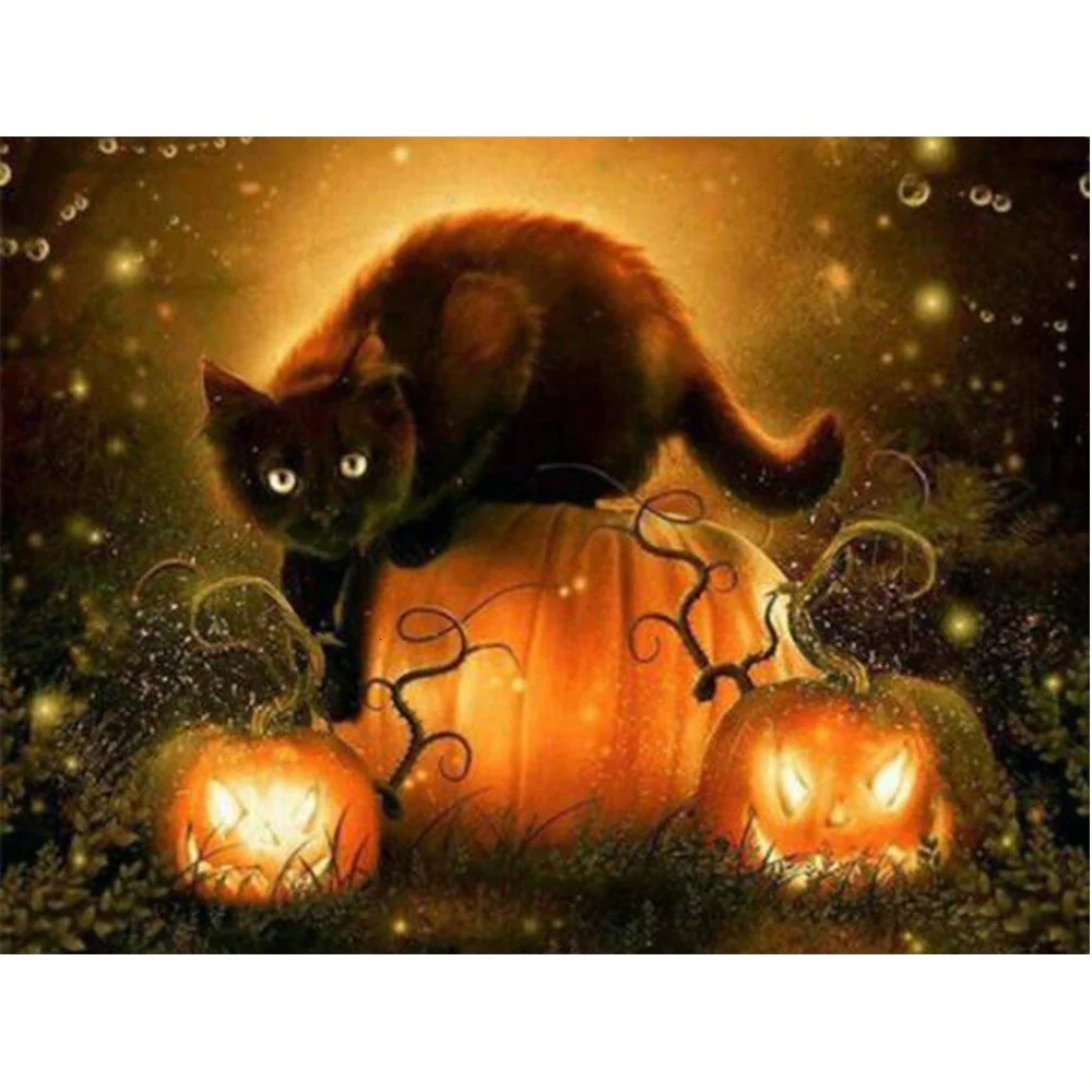 Zwarte Kat Halloween
